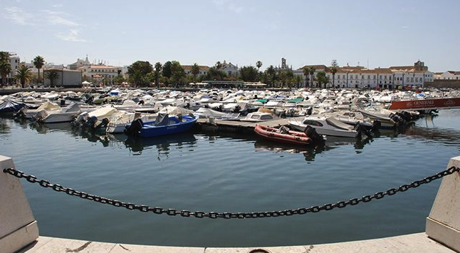 Contestado por ambientalistas