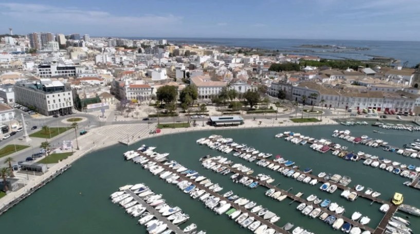 Contestado por ambientalistas