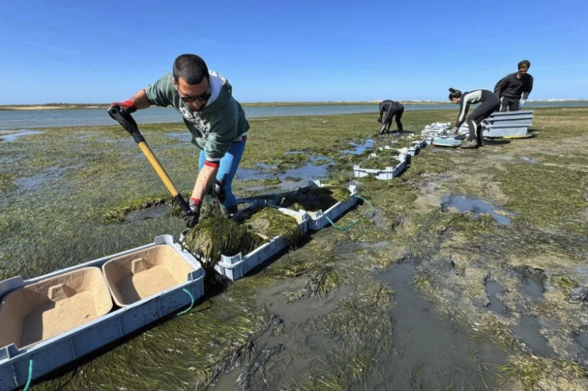 Sal C e o Carbono Branco