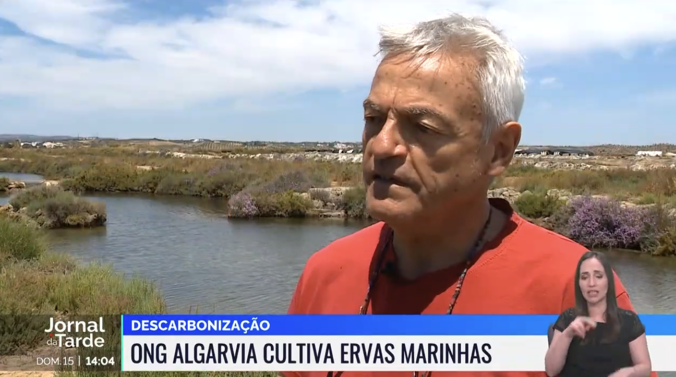 SAL C. Jornal de tarde RTP