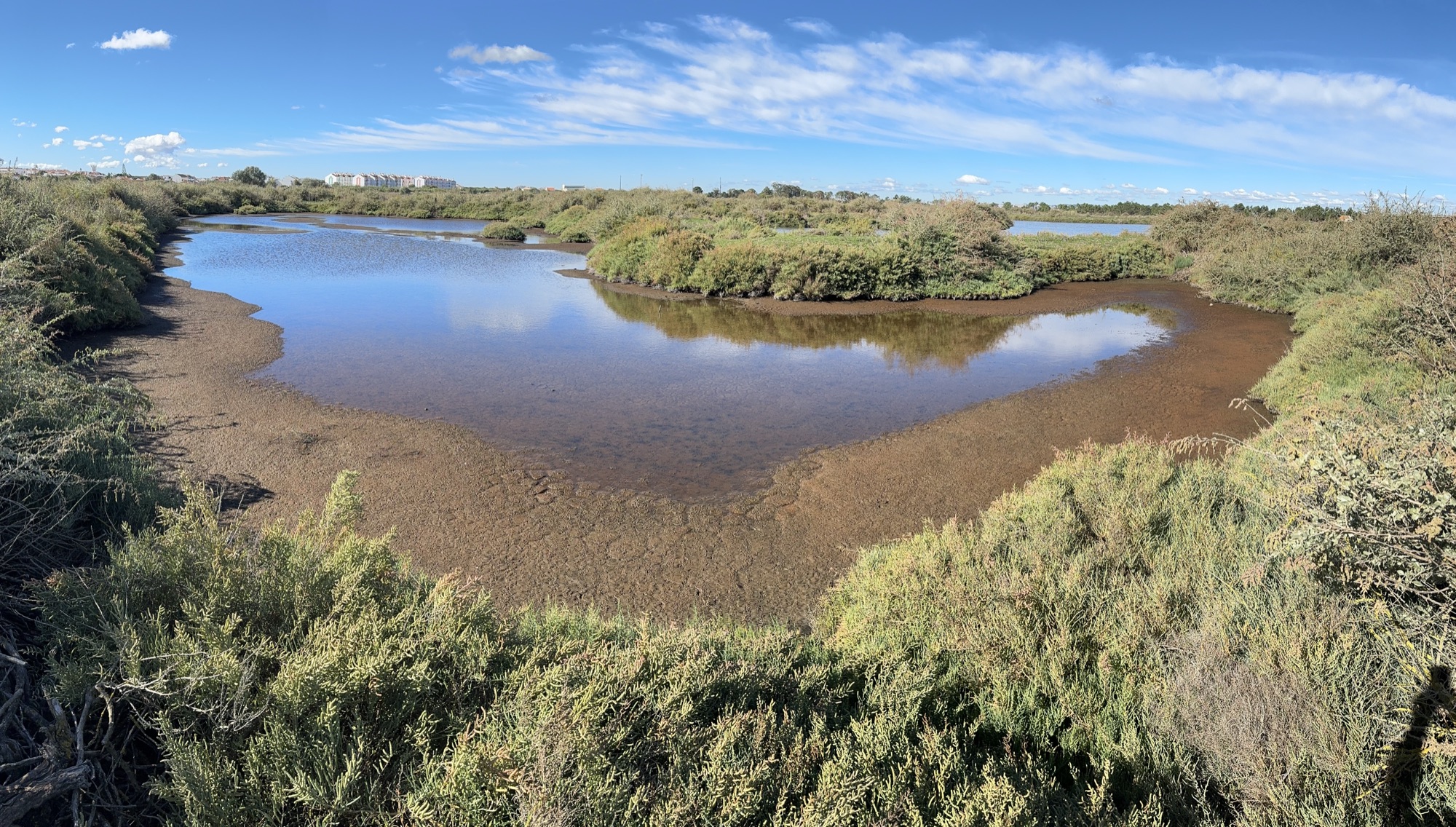 Blue Carbon — Gulbenkian