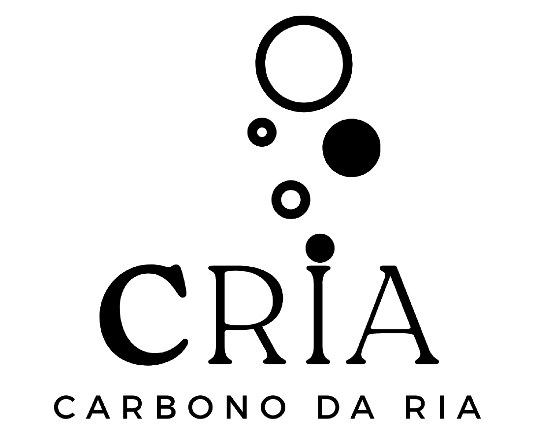 C Ria project main image