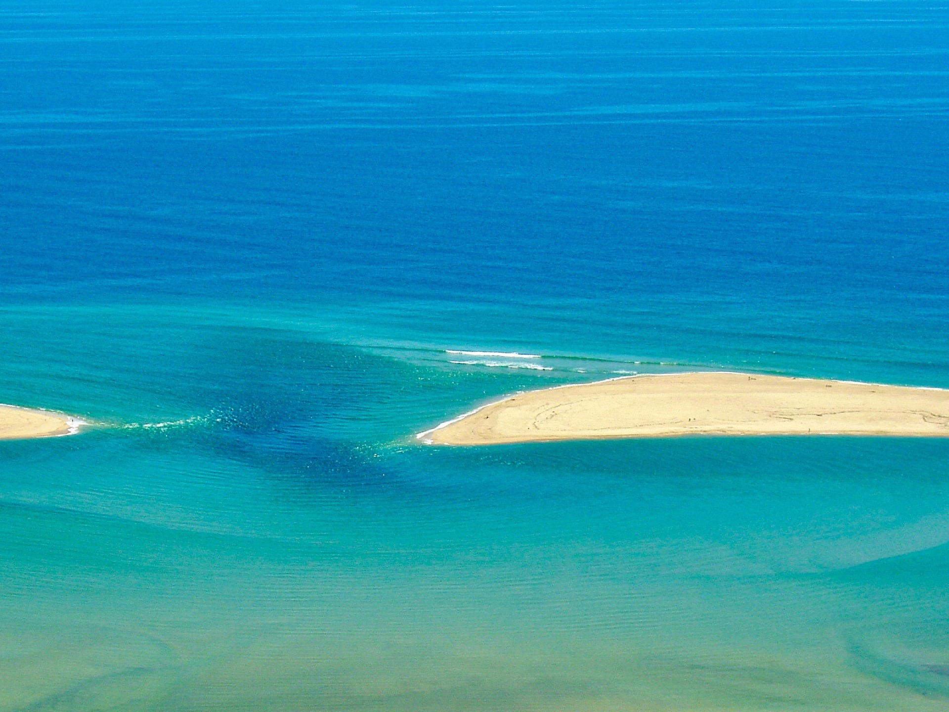 BlueZ C Marine Conservation