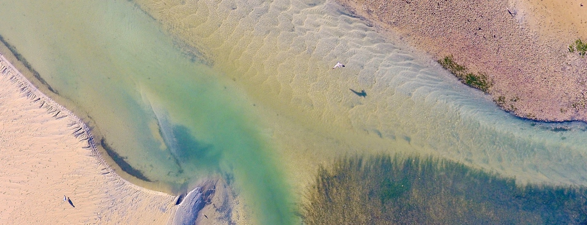 BlueZ C News and Interviews