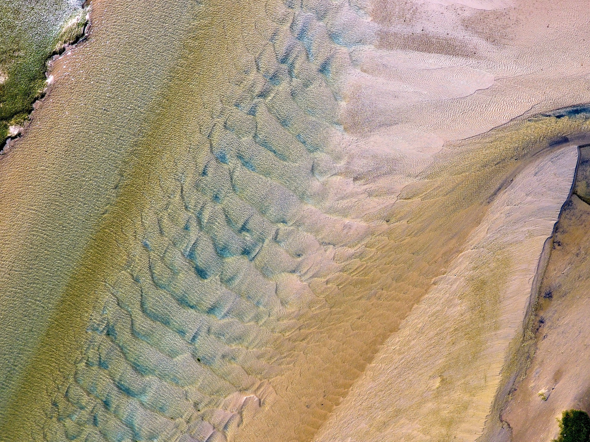 BlueZ C Conservation Projects