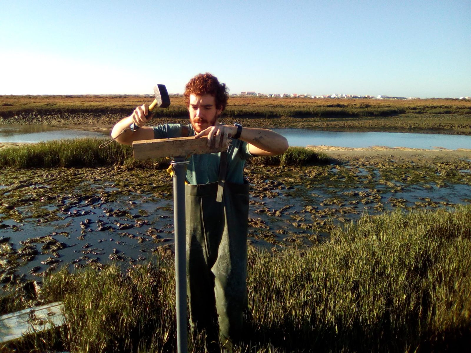 Márcio Martins - Vice President