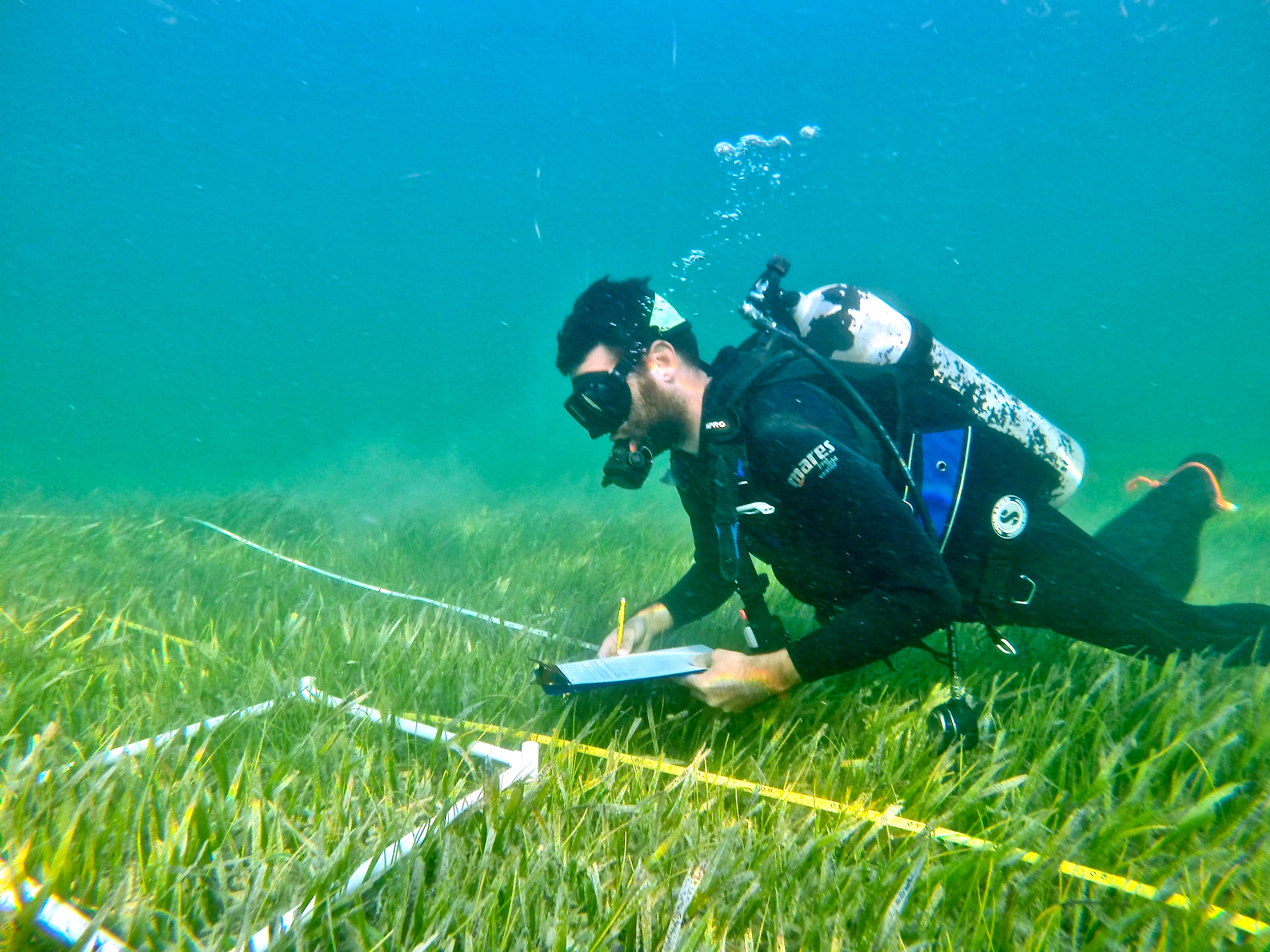 BlueZ C Marine Conservation Activities