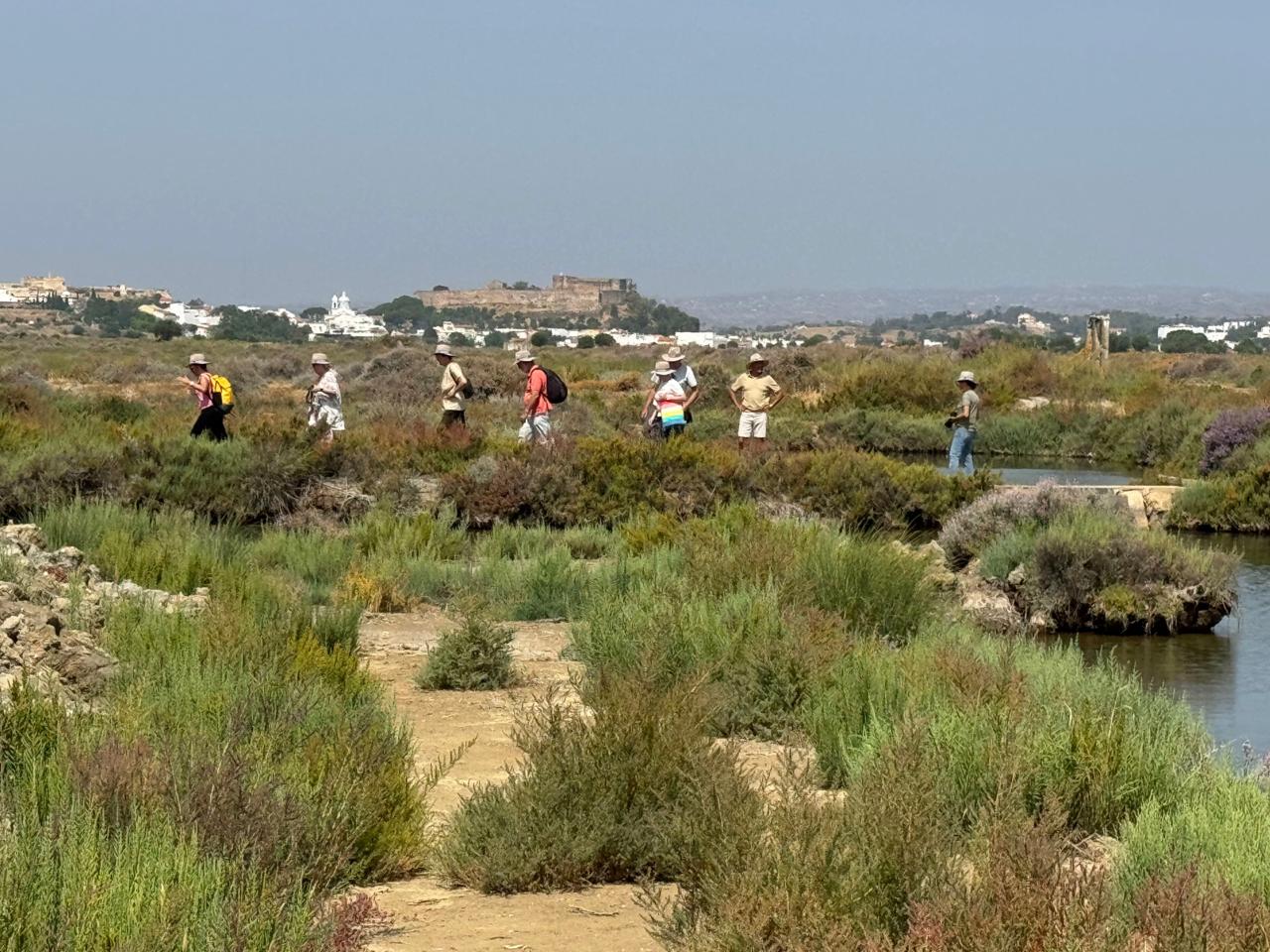 WonderSalt Experience